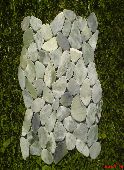 Naravni kamen RF Apple Green flat mosaic 30cmx30cm 1m2